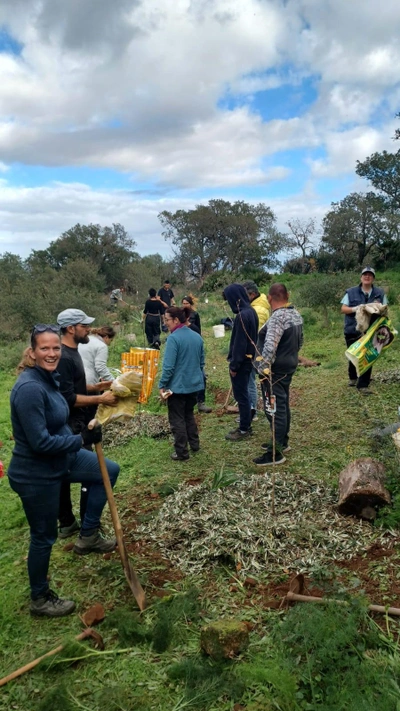 A Food Forest In The Angimbè Forest
