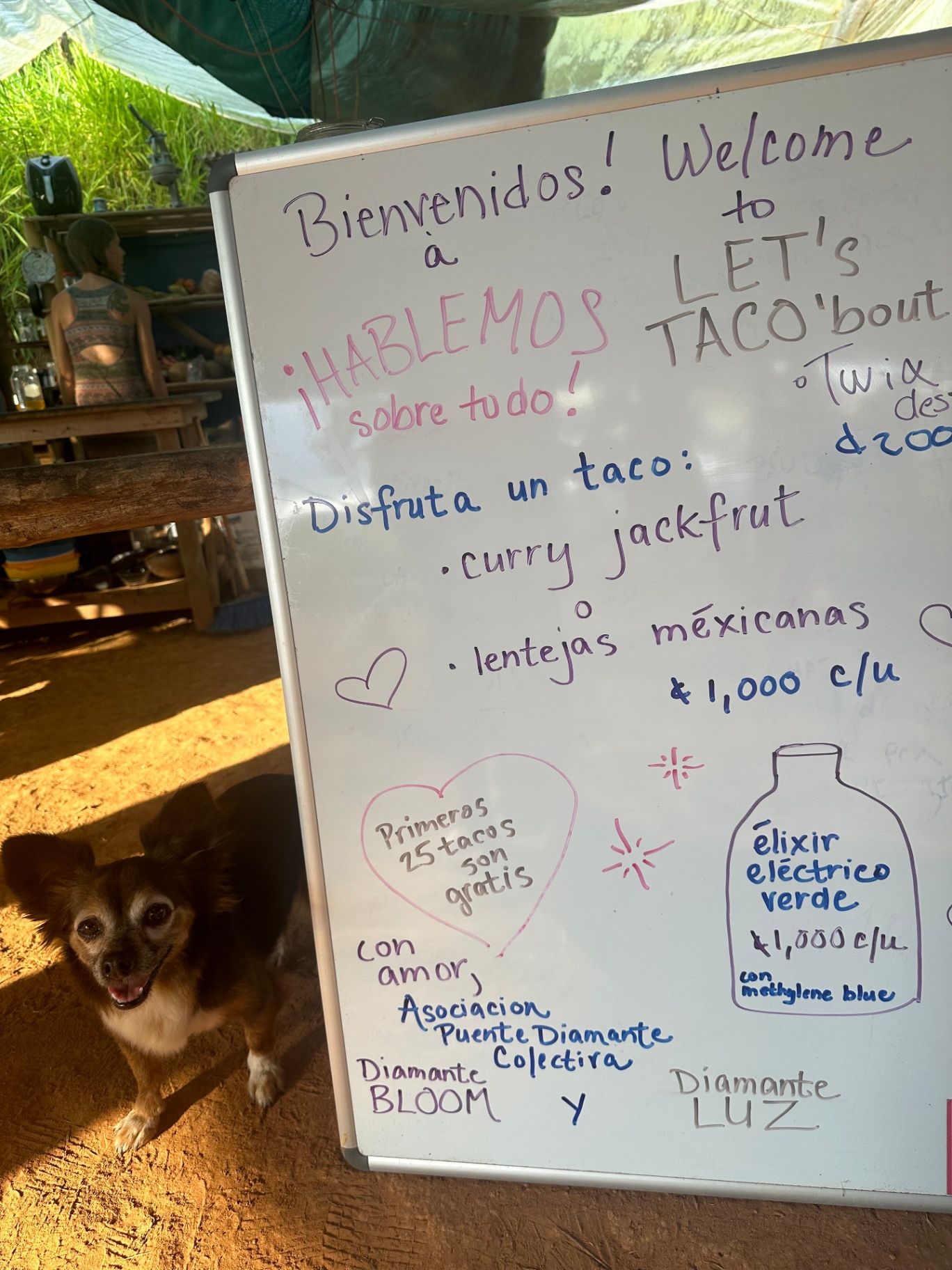 Let's Taco 'Bout It
