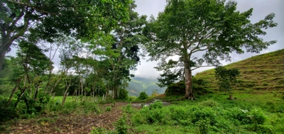 Community Bridges - Land Walks