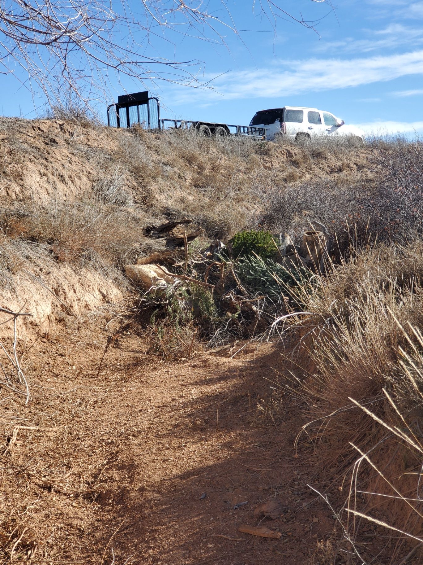 December At Wildcat Bluff