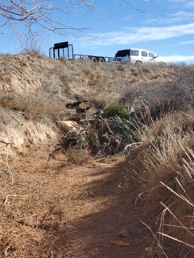 December At Wildcat Bluff