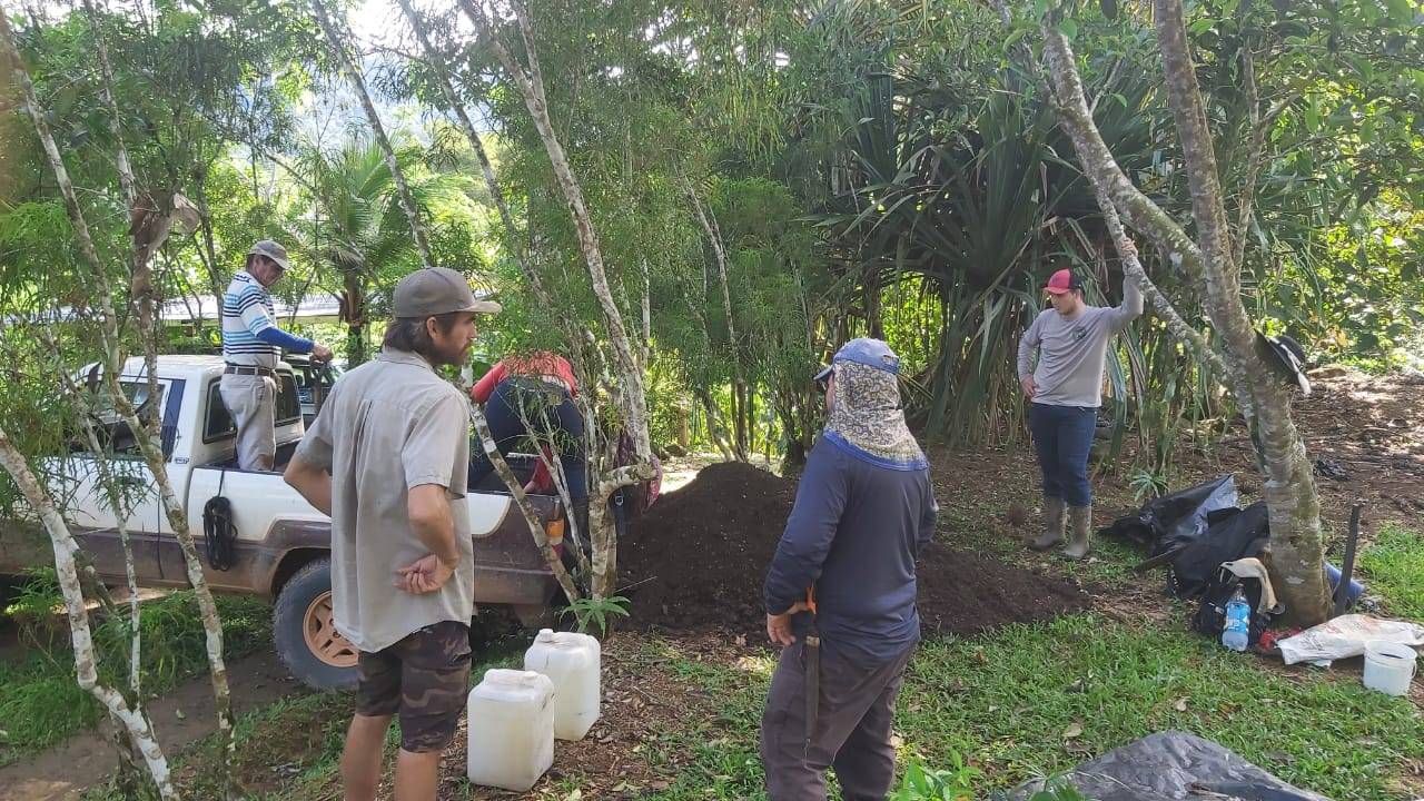 Food Forest Installation
