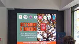 Associations And Citizens Against Fires