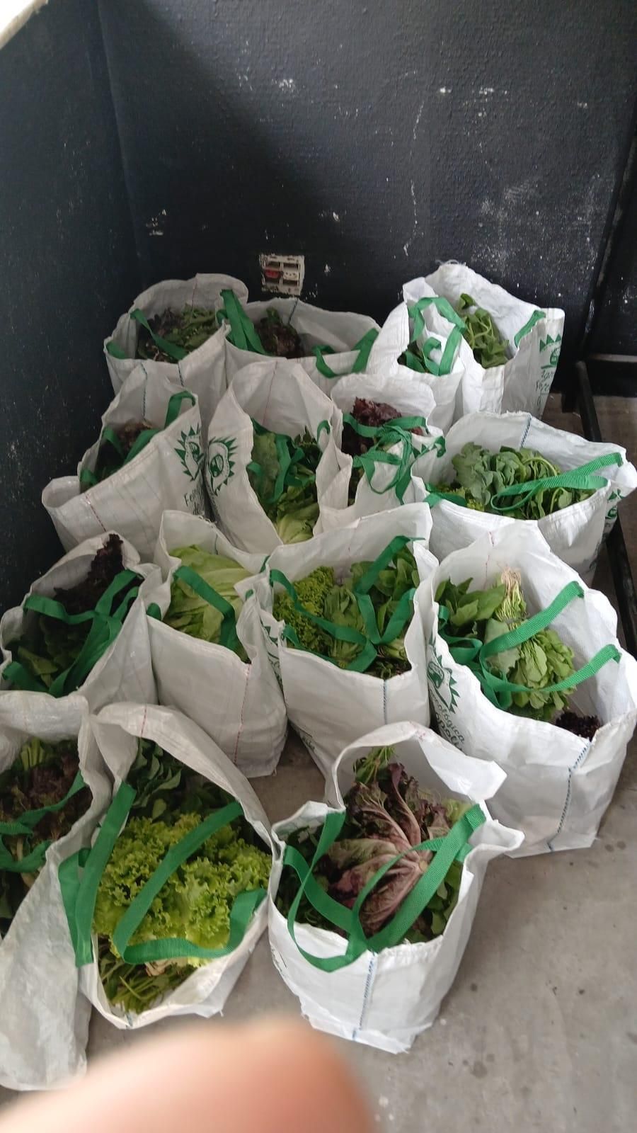 Distribution Of Agroecological Food