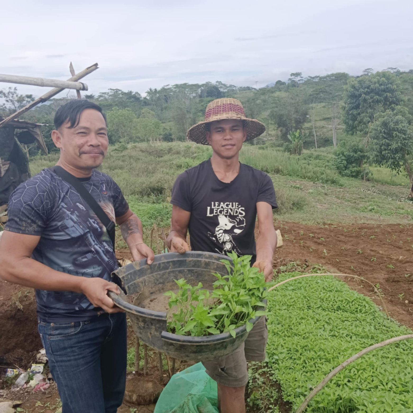 Featured image for Cash Crops: Saving Community And Forest