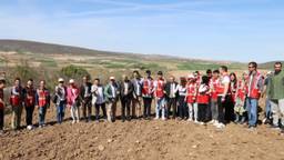 Kendir Hemp Plantation - A