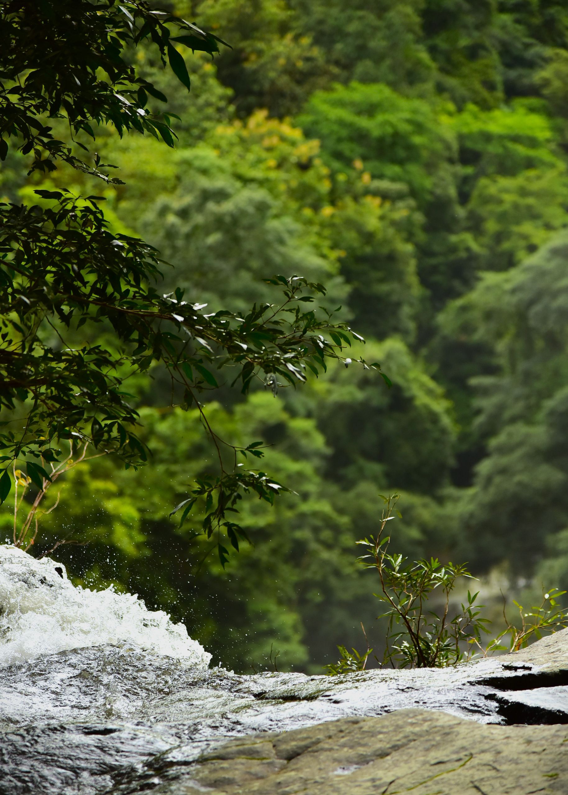 Bringing the Baru River restoration project to the local communities within the catchment