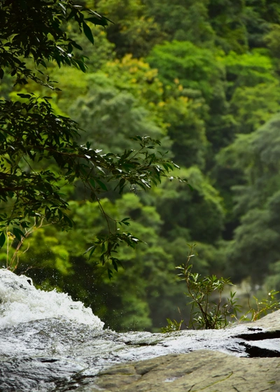 Bringing the Baru River restoration project to the local communities within the catchment