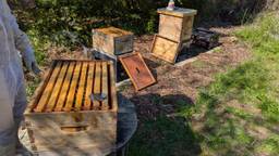 Beekeeping At Maybloom: Grief, Gifts, And A New Beginning
