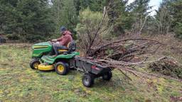Fall Work at Maybloom: Clearing, Pruning, and Preparing for What’s Next