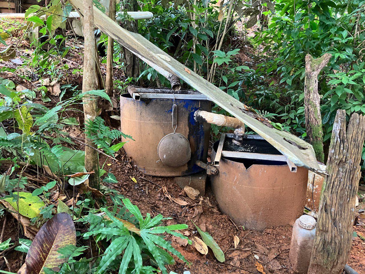 Improvement On The Grey Water Filter Of Baruvia Creek