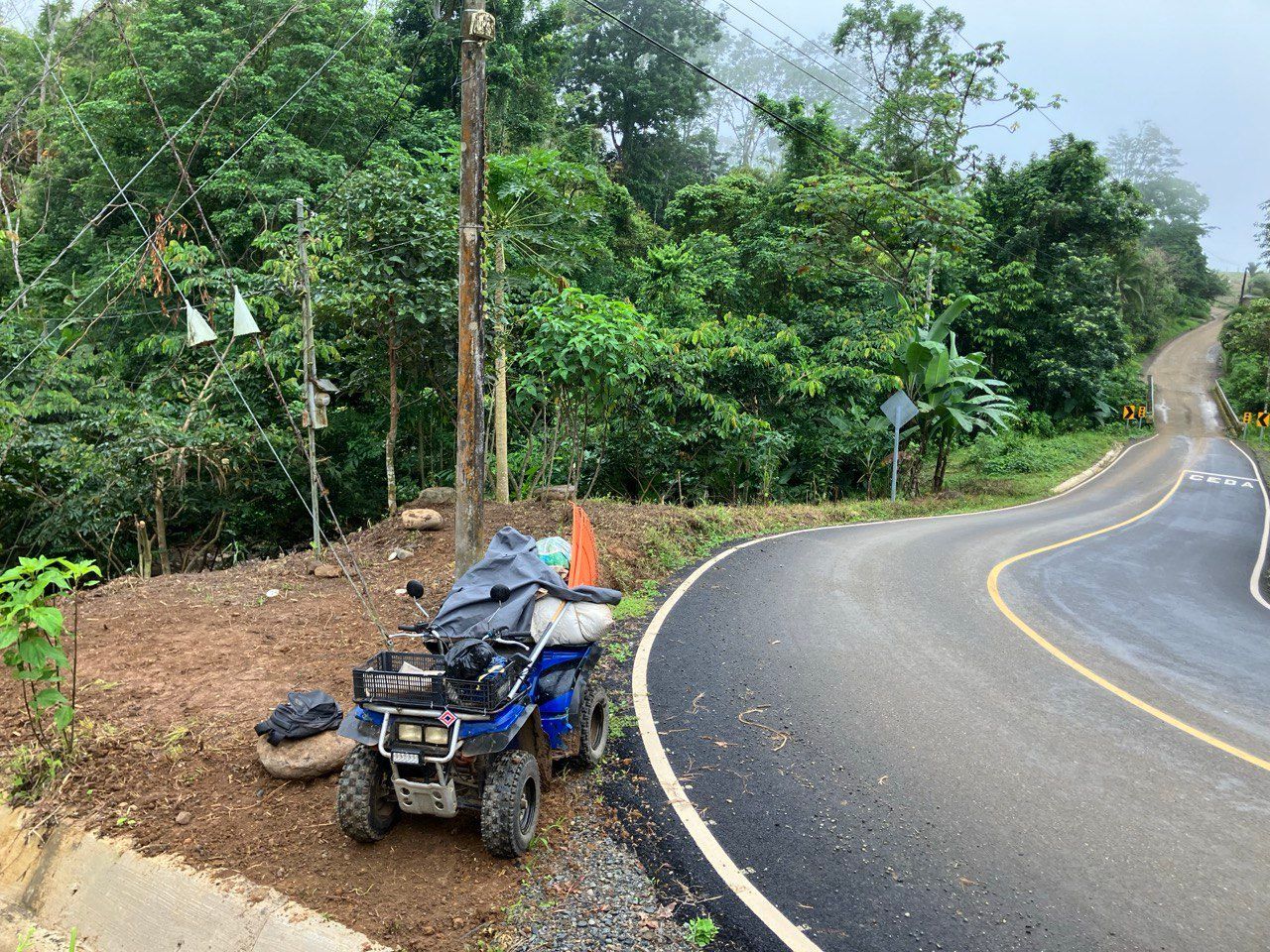 Free The Food - First Jackfruits By The Soccer Field - Clean Roadsides !