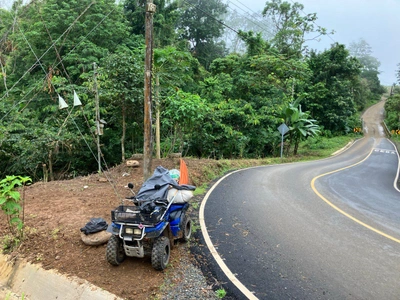 Free The Food - First Jackfruits By The Soccer Field - Clean Roadsides !
