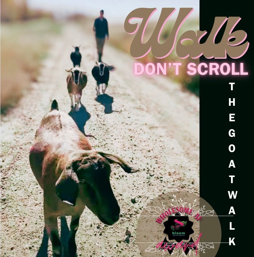 Featured image for Signal Craft Pilot — September 2025