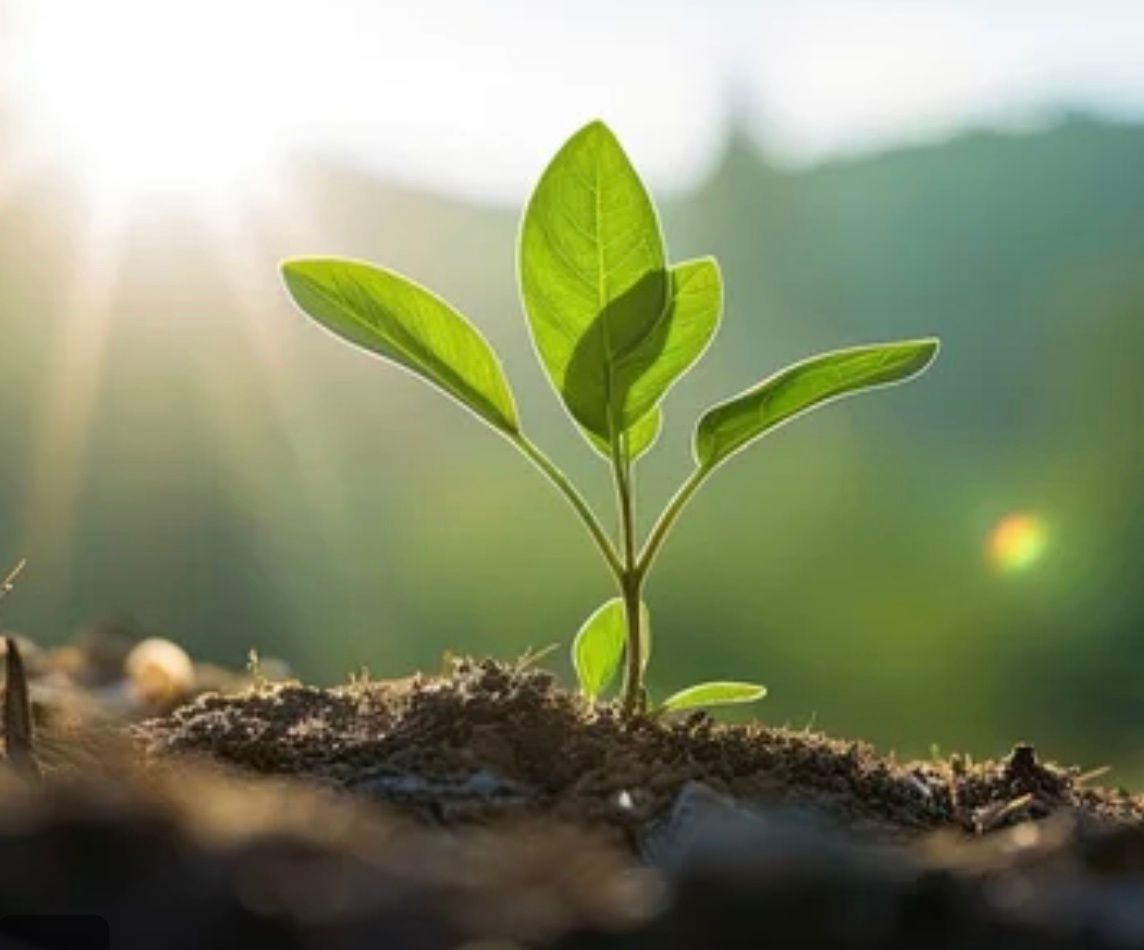 Featured image for SignalCraft 2