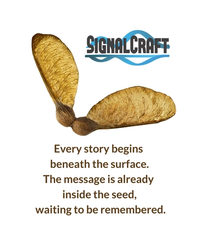How Signal Craft II Helped Birth the Jemez Springs Hub and a Regenerative Storytelling Model for Bloom Worldwide