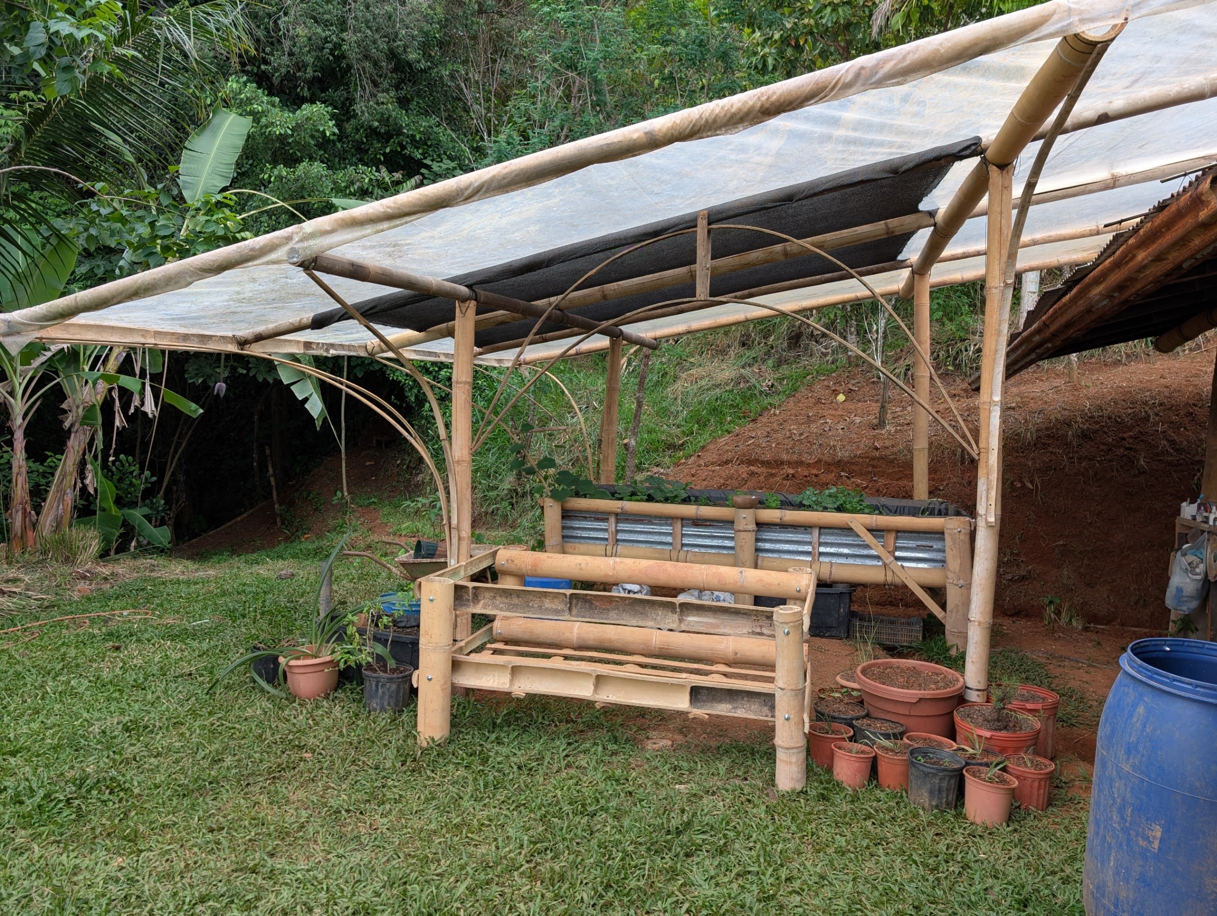 Cultivating a living garden around the kitchen