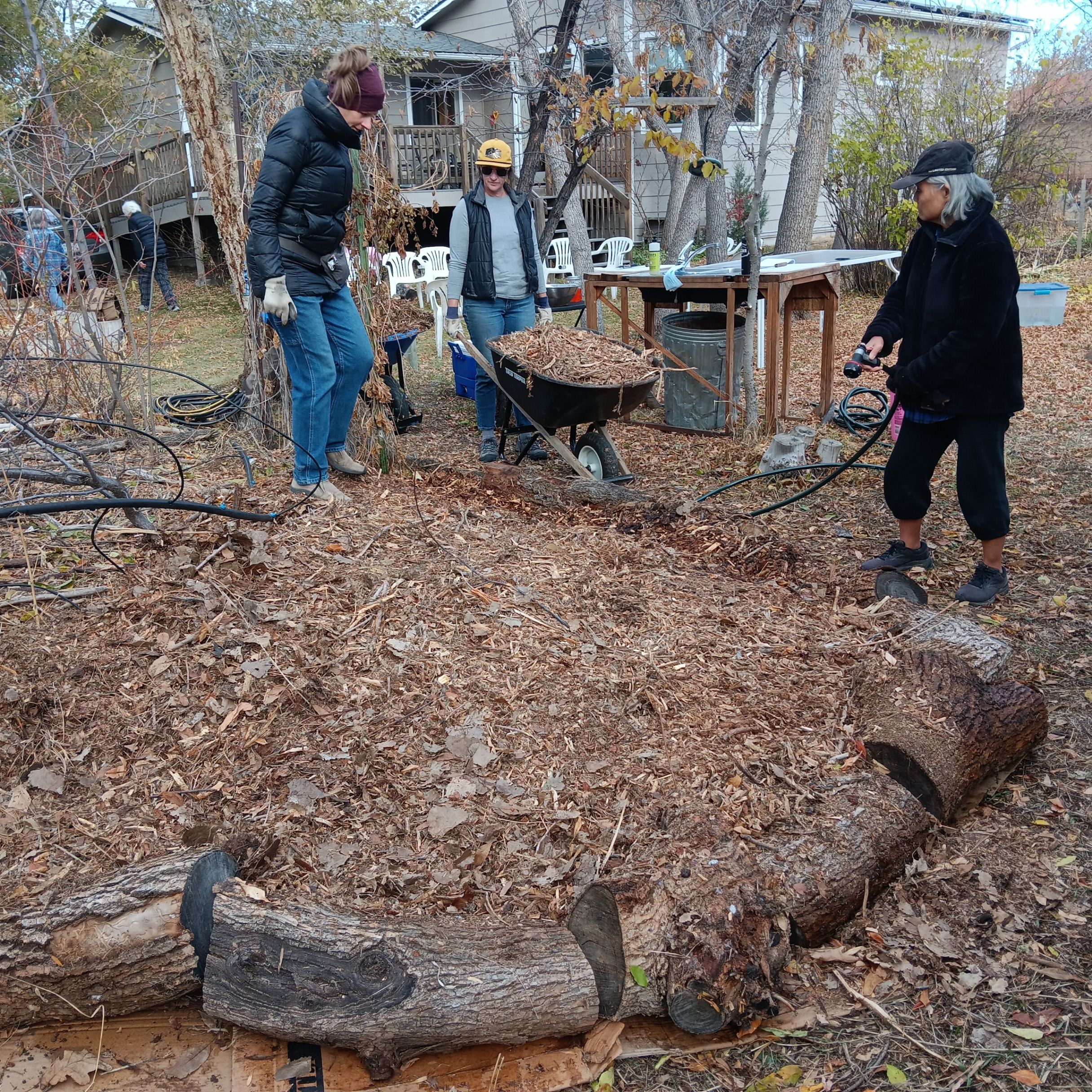 Featured image for Four Seasons Gardening Workshop Series - WINTER @ LSI