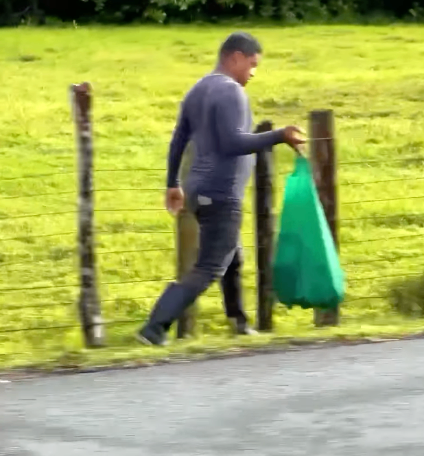 Featured image for Limpieza Ruta 245