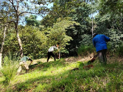Food Foresting - Earth Care and People Care